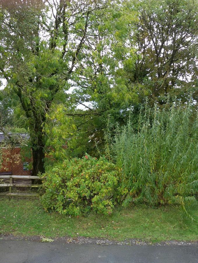 20 The Glade, Bideford Bay Holiday Park Bagian luar foto